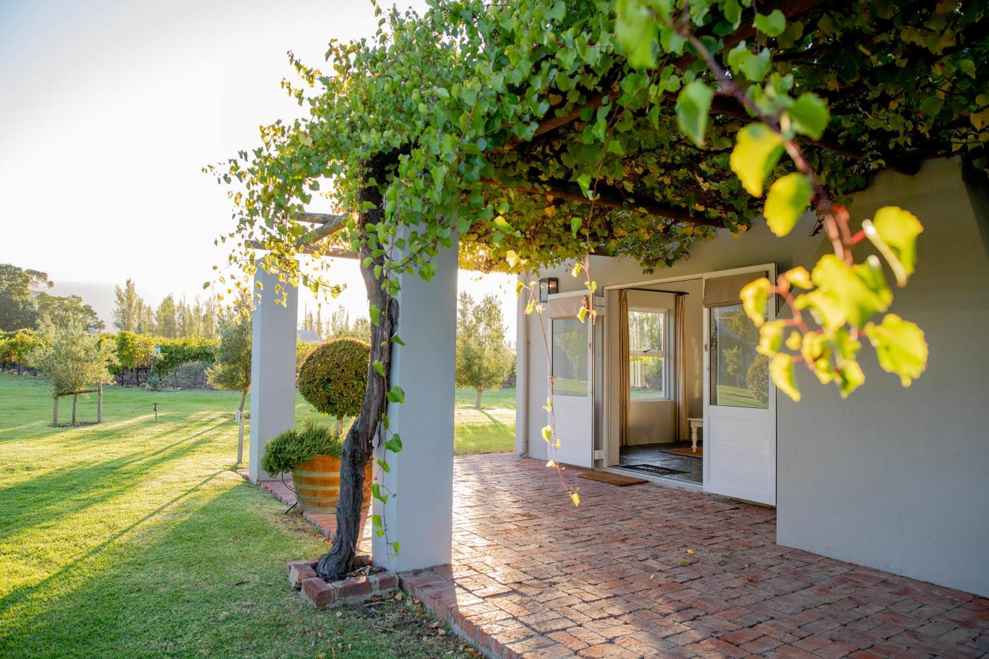 Saronsberg Vineyard Cottages Тулбаг Екстериор снимка