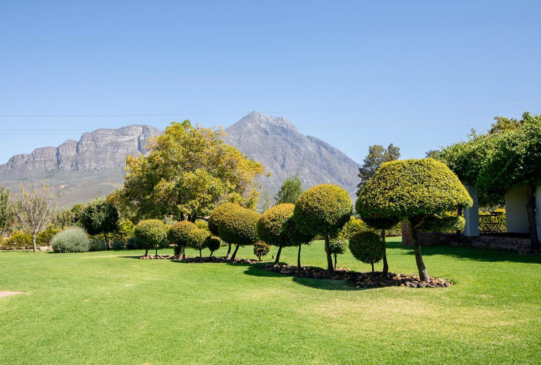 Saronsberg Vineyard Cottages Тулбаг Екстериор снимка