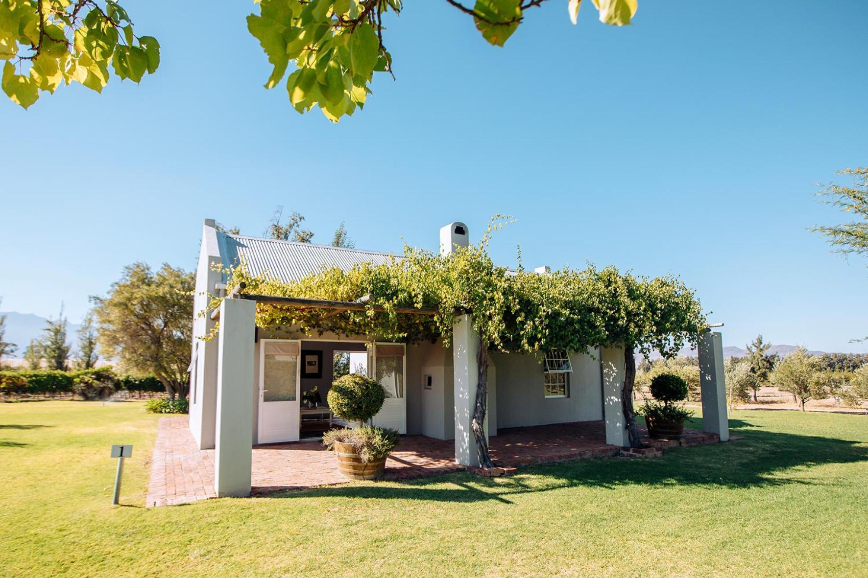 Saronsberg Vineyard Cottages Тулбаг Екстериор снимка