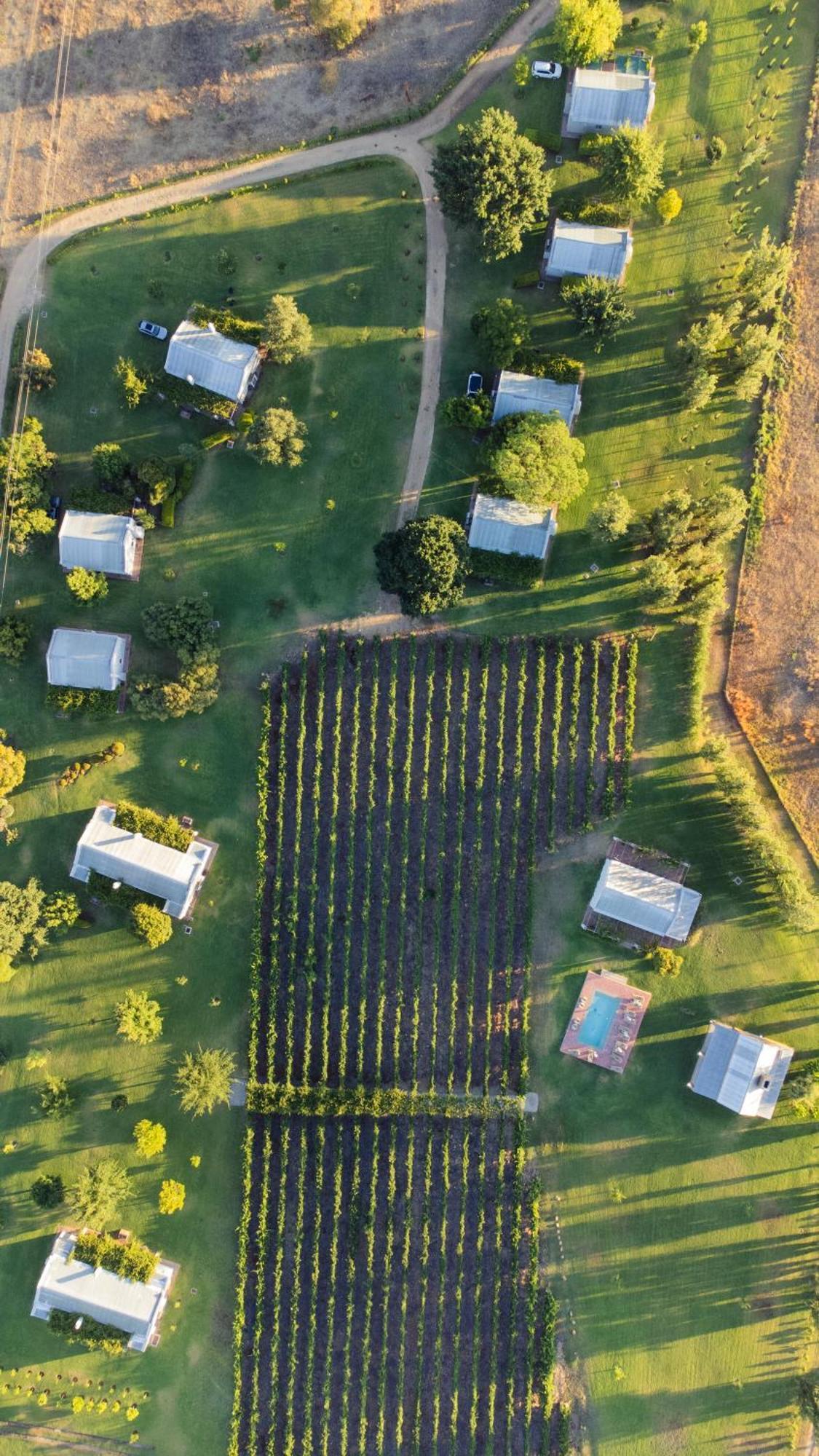 Saronsberg Vineyard Cottages Тулбаг Екстериор снимка