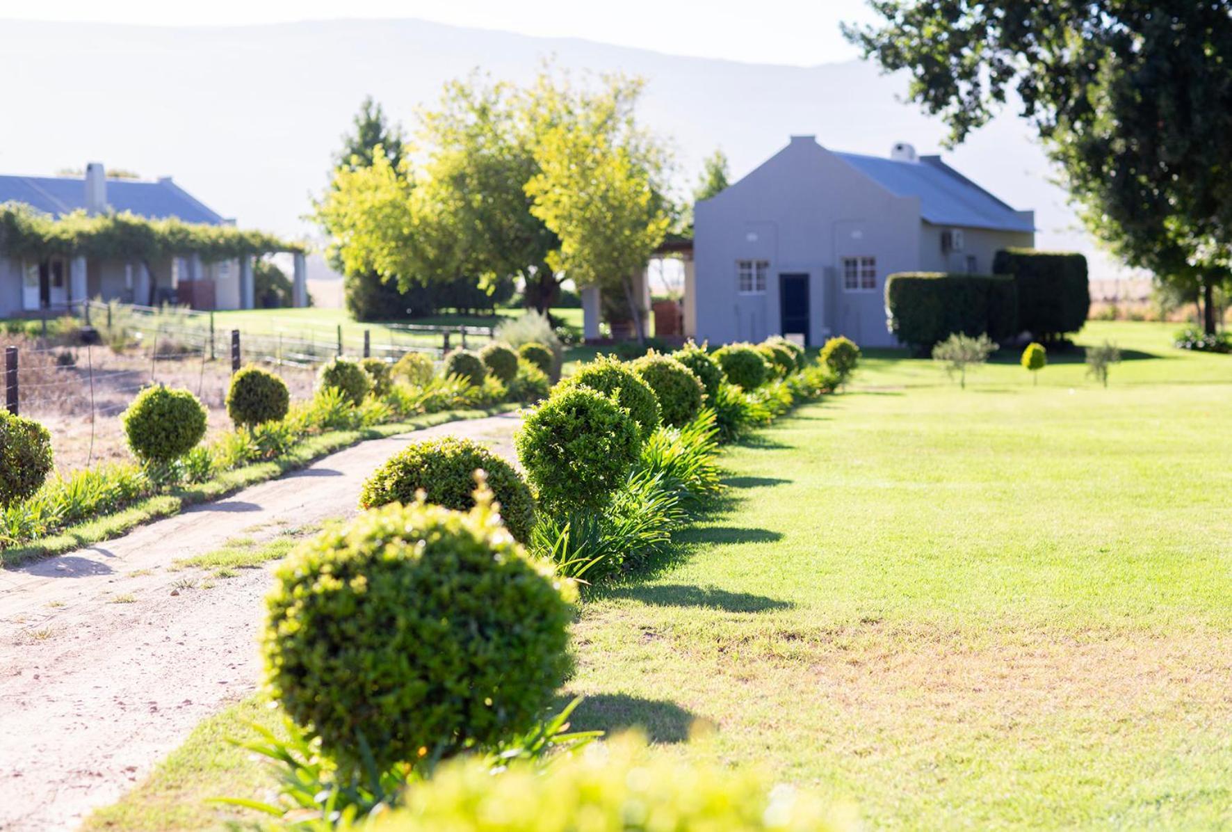 Saronsberg Vineyard Cottages Тулбаг Екстериор снимка